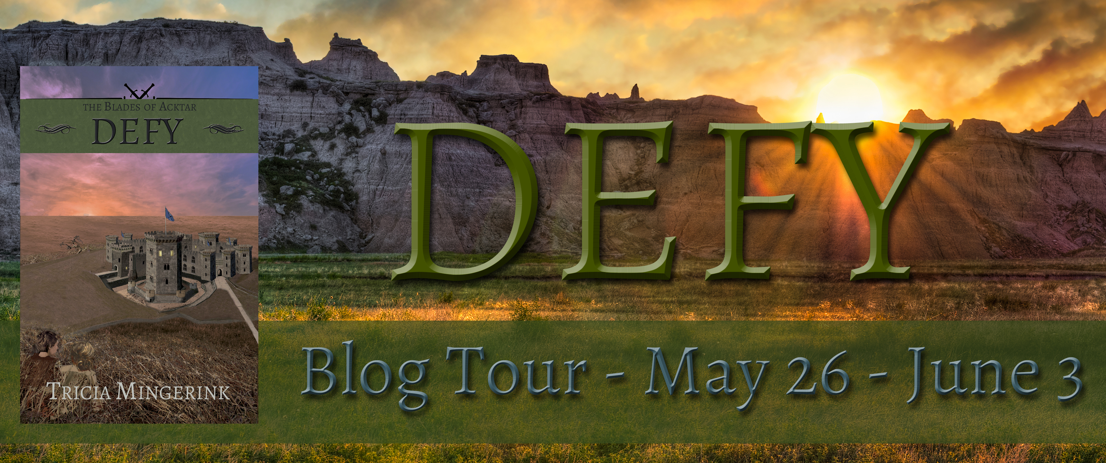 Defy Blog Tour Header